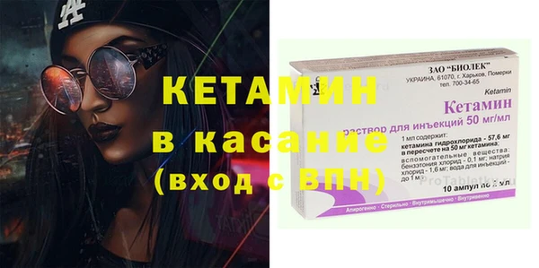 индика Алексин