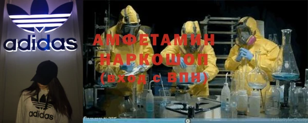 индика Алексин