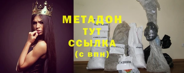 индика Алексин
