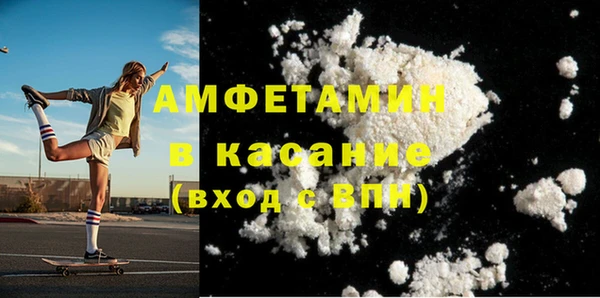 индика Алексин