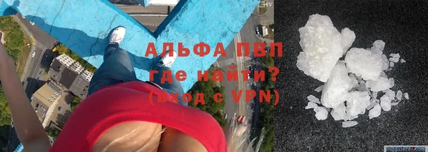 индика Алексин