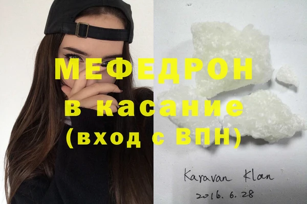 индика Алексин